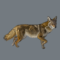 Coyote Heavyweight Sweatshirt | Teevron