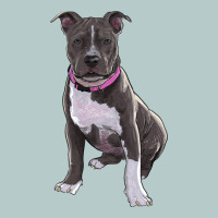Pitbull Heavy Core Tee | Teevron