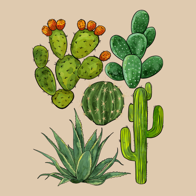 Watercolor Cactus Bundle Preview Heavyweight Sweatshirt by BarkalooDesign | Teevron