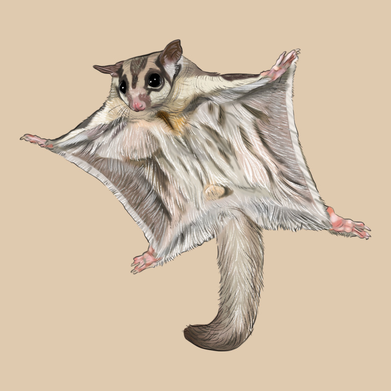 Sugar Glider Heavyweight Sweatshirt by LillyAllenDesigns | Teevron