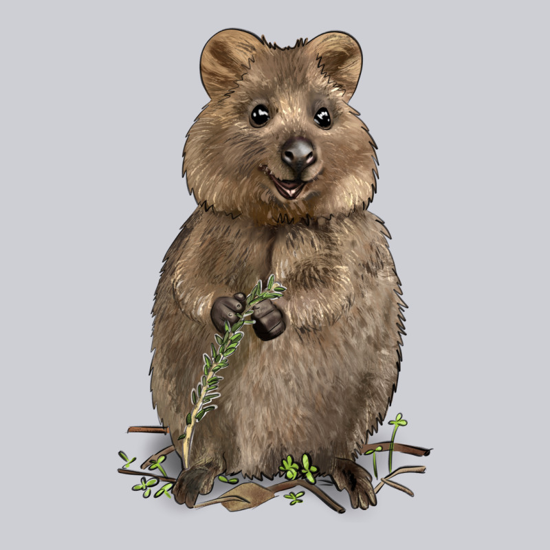 Quokka Heavyweight Sweatshirt by LillyAllenDesigns | Teevron