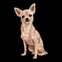 Chihuahua Heavy Core Tee | Teevron