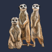 3 Meerkat Heavyweight Sweatshirt | Teevron