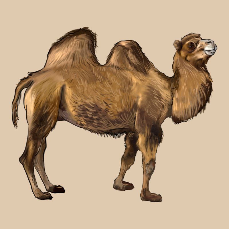 Camel Heavyweight Sweatshirt by LillyAllenDesigns | Teevron