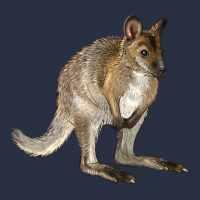 Hand Drawn Wallaby Animal Heavyweight Sweatshirt | Teevron