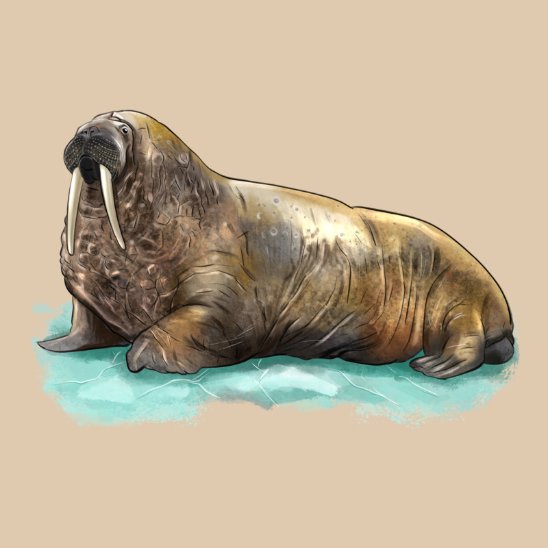 Walrus Heavyweight Sweatshirt by LillyAllenDesigns | Teevron