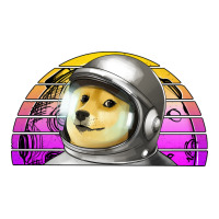 dogecoin to the mars | Teevron