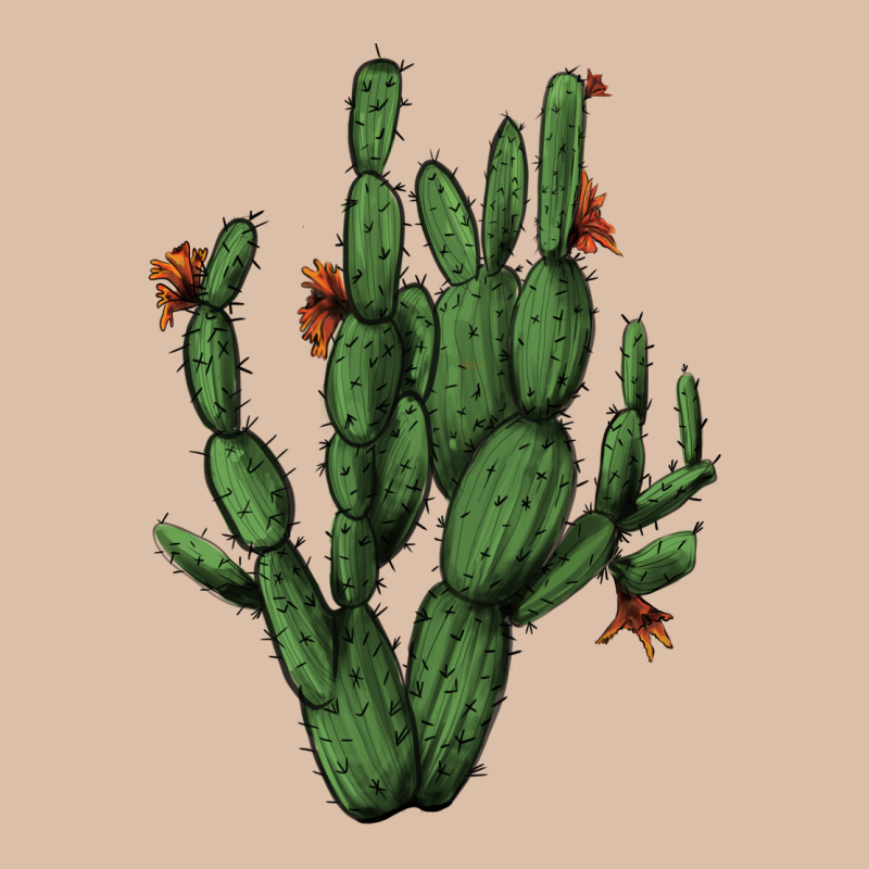 Cactus With Flowers Urban Heavy Tee by AdoDesignShop | Teevron
