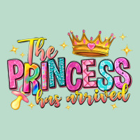 The Princess Has Arrived Premium Hoodie | Teevron