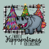 I Want Hippopotamus For Christmas Premium Sweatshirt | Teevron