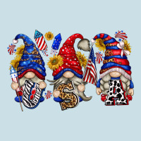 Usa With Gnome Billie Wilder Ladies Tee | Teevron