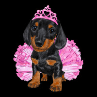 Balerina Dachshund With Tutu Ladies Tee | Teevron