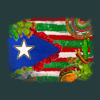 Mexico And Puerto Rico Flag Premium Hoodie | Teevron