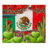 Mexican Flag | Teevron