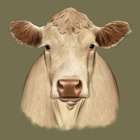 Charolais Vintage Hoodie | Teevron