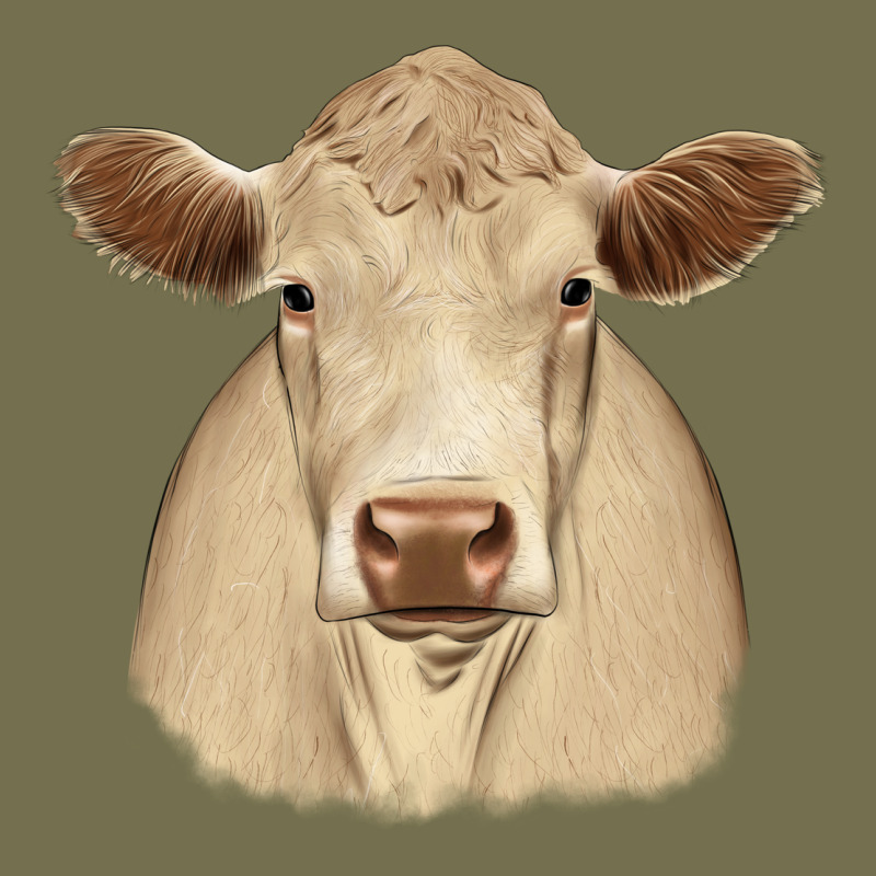 Charolais Vintage Hoodie by JahusDesignShop | Teevron