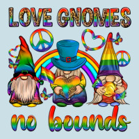 Pride Gnomies Ladies Tee | Teevron
