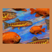 California Golden Trout Garibaldi Fish Background Heavyweight Hoodie | Teevron