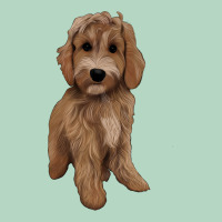 Maltipoo Classic Tee | Teevron