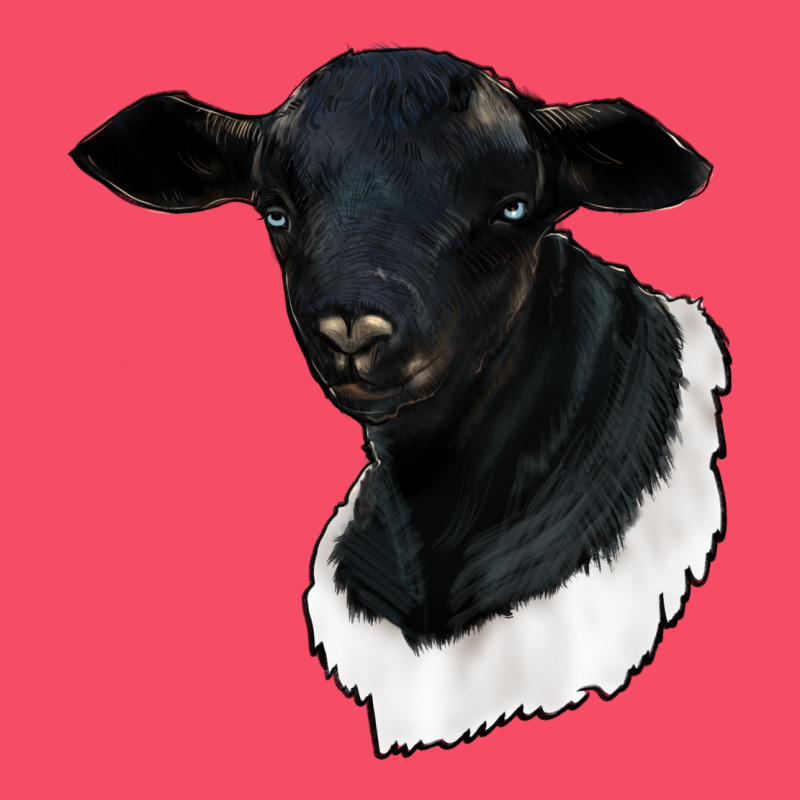 Dorper Sheep Premium Sweatshirt by RanaPortraitStore | Teevron