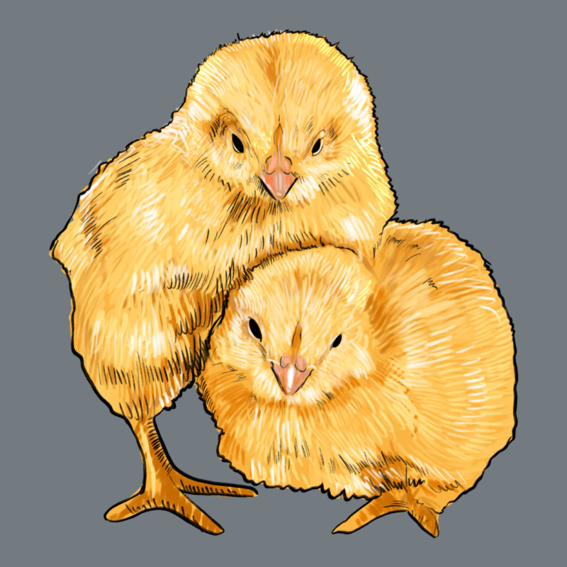 Chicks Heavyweight Sweatshirt by Artiststas | Teevron