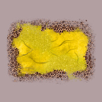 Gemstone Yellow Leopard Background Vintage Hoodie | Teevron