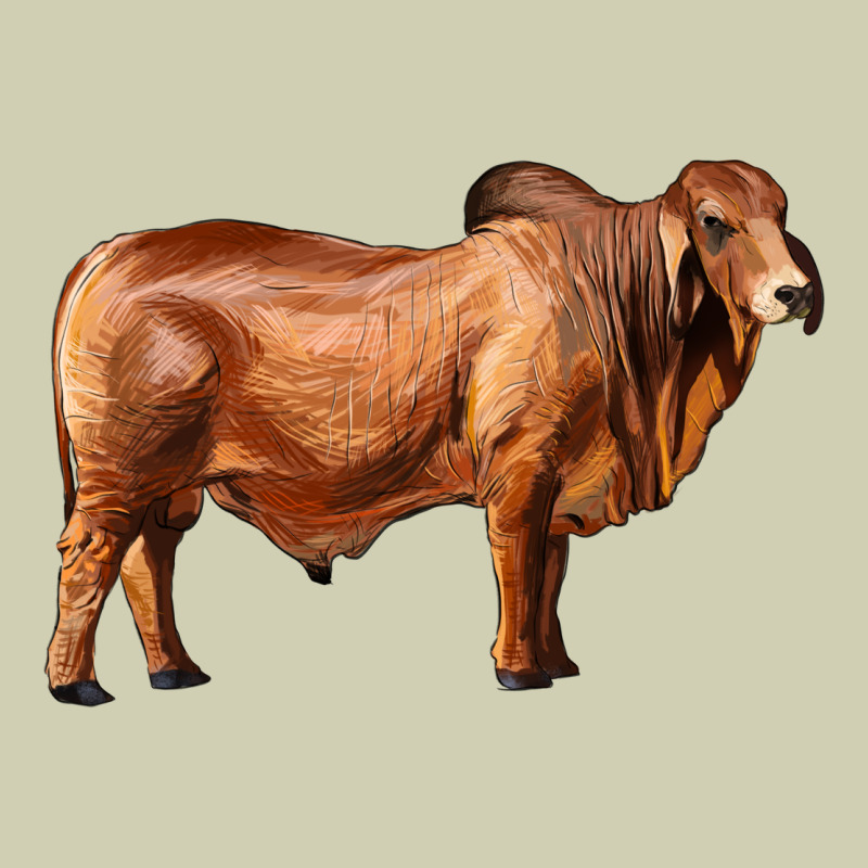 Brahman Bull Heavy Core Tee by RanaPortraitStore | Teevron