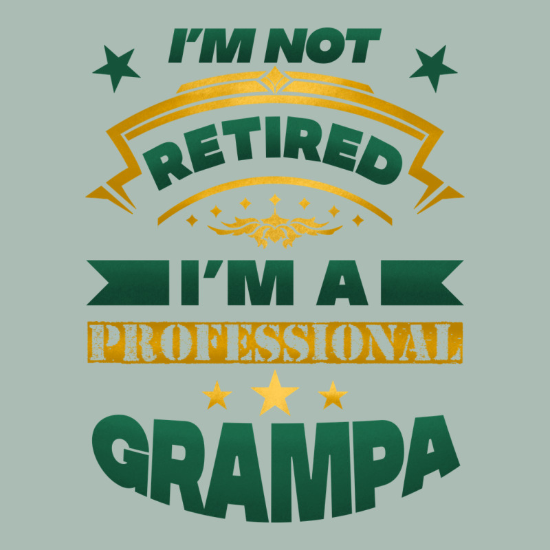 I'm Not Retired I'm A Professional Grampa Classic Tee by Jasminsmagicworld | Teevron