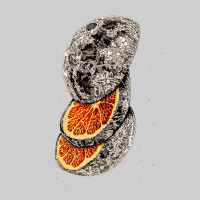 Lunar Fruit Premium Sweatshirt | Teevron