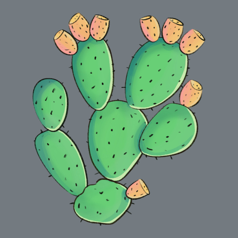 Texas Prickly Pear Cactus Heavyweight Sweatshirt by Artiststas | Teevron