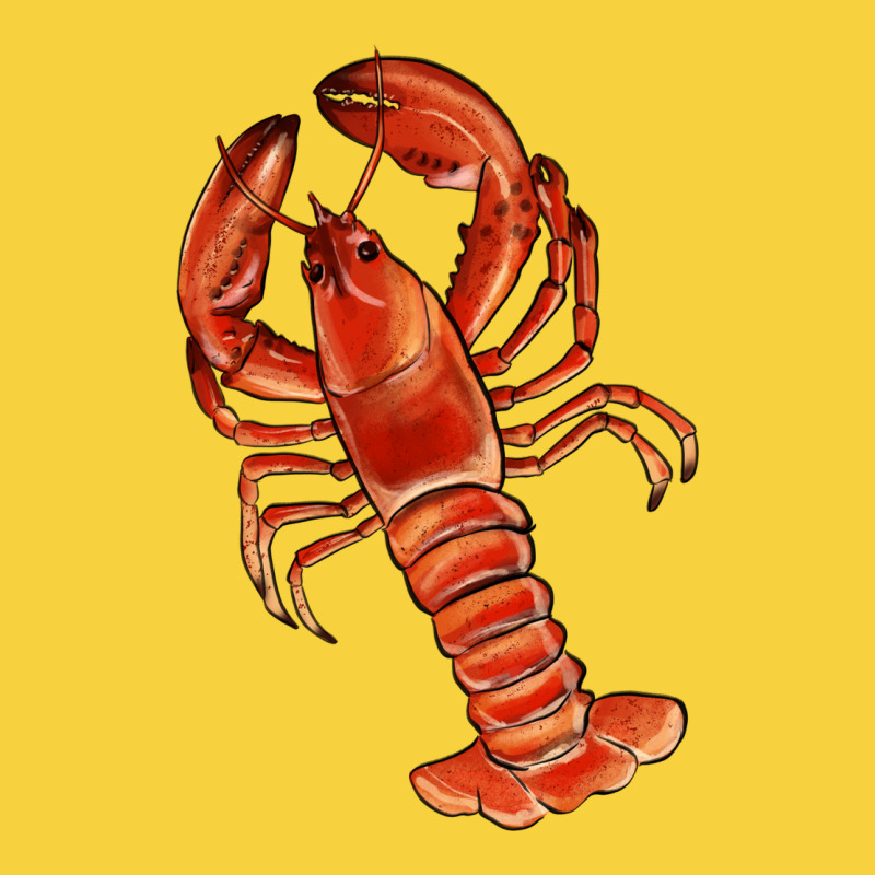Crawfish Premium Sweatshirt by RanaPortraitStore | Teevron