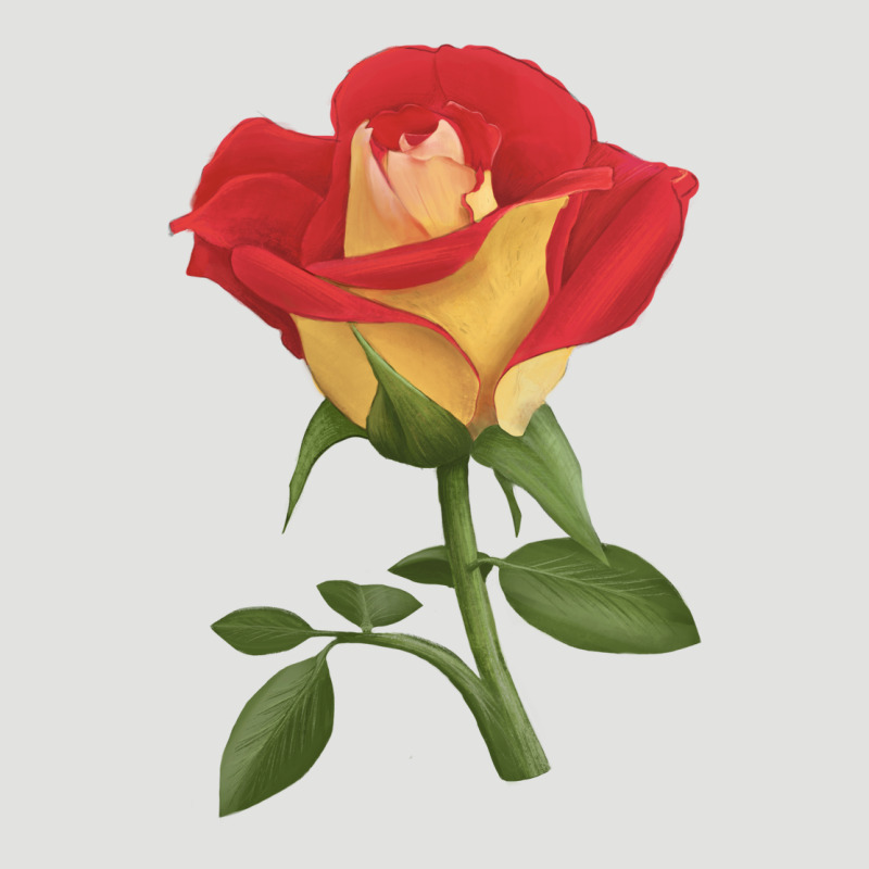 Ketchup And Mustard Rose Classic Tee by LillyAllenDesigns | Teevron