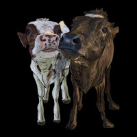 Two Heifer Cows Premium Tee | Teevron