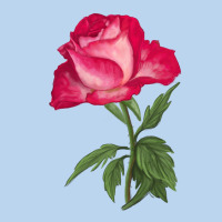 Love At First Sight Rose Classic Tee | Teevron