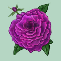 Celestial Rose Classic Tee | Teevron