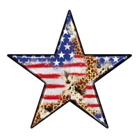 American Flag Star | Teevron