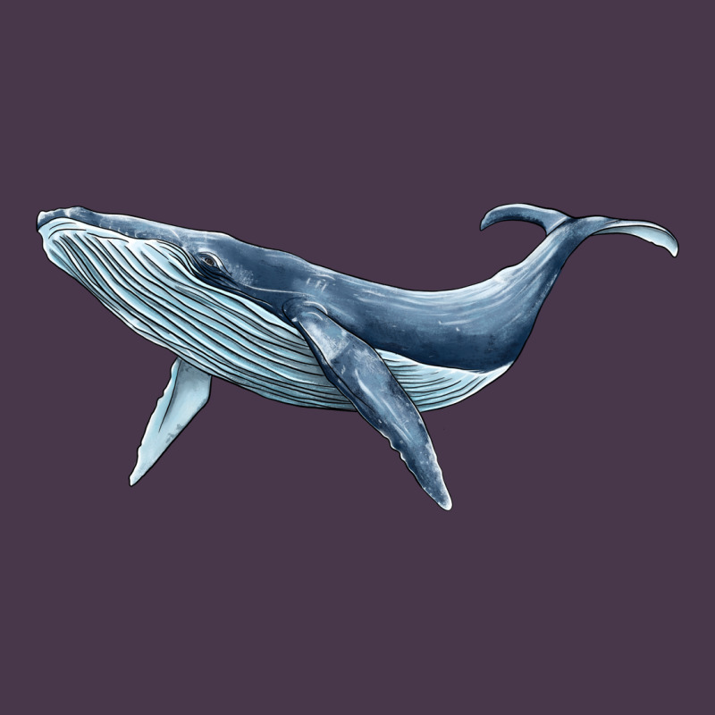 Humpback Whale Heavyweight Hoodie by BarkalooDesign | Teevron