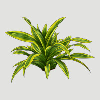 Lemon Lime Dracaena Leaf Classic Tee | Teevron