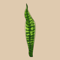 Snake Plant Classic Tee | Teevron