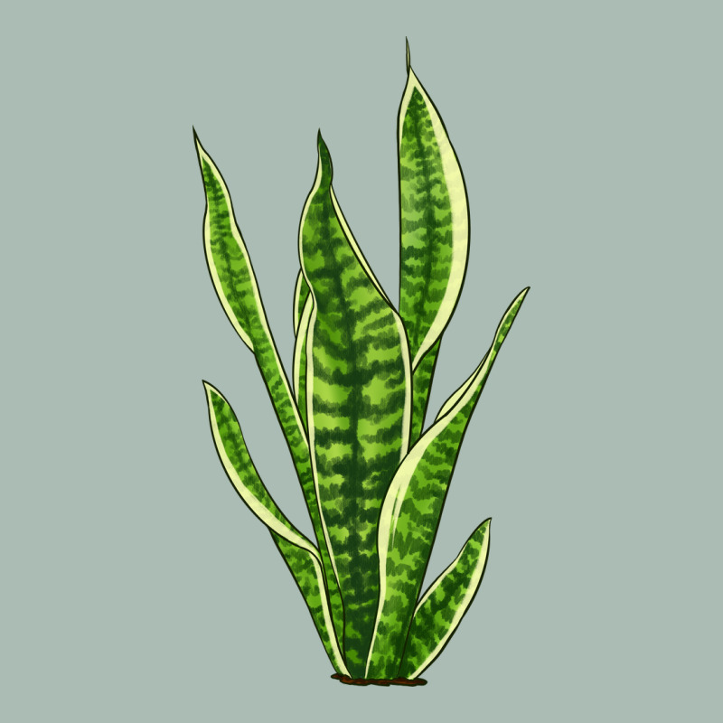 Snake Plant Classic Tee by LillyAllenDesigns | Teevron