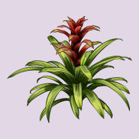 Bromeliads Classic Tee | Teevron