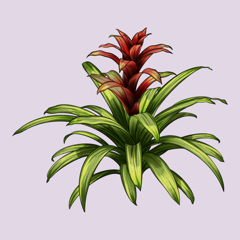 Bromeliads Classic Tee by LillyAllenDesigns | Teevron