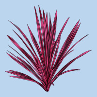 Pink Cordyline Classic Tee | Teevron