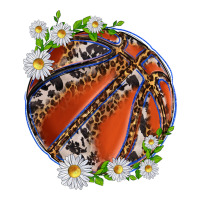 basketball with patterns and daisies | Teevron