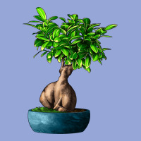 Ficus Ginsenge Classic Tee | Teevron