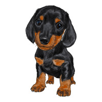 Dachshund Puppy Premium Tee | Teevron