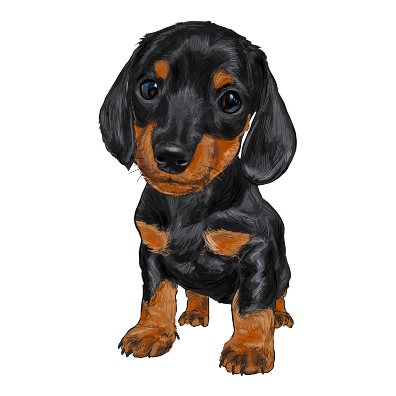Dachshund Puppy Premium Tee by RanaPortraitStore | Teevron