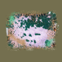 Western Green Cowhide Frame Vintage Hoodie | Teevron