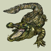 Alligator Heavyweight Hoodie | Teevron