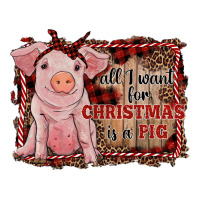 all i want for christmas is a pig sitting pig | Teevron